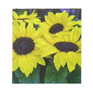HERRLICHE GARTEN-SONNENBLUMEN NOTIZBLOCK