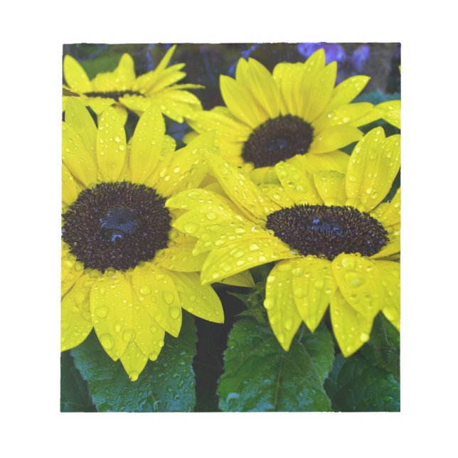 HERRLICHE GARTEN-SONNENBLUMEN NOTIZBLOCK (Vorderseite)