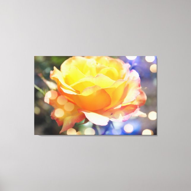 Herrliche gelbe Rosenrose Blume. Blumenfotografie Leinwanddruck (Vorderseite)