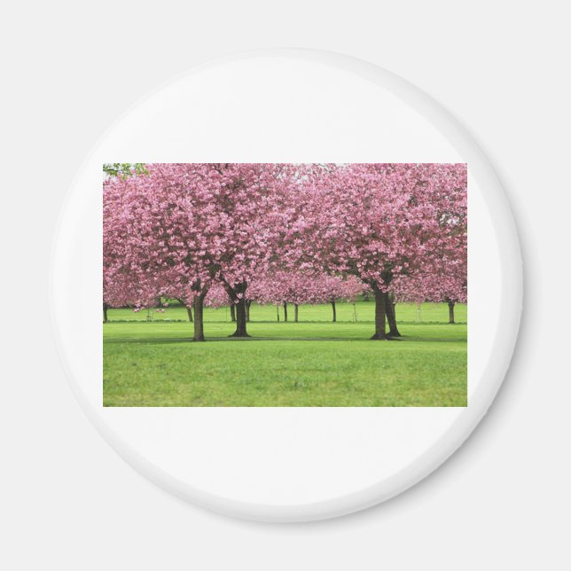 HERRLICHE KIRSCHE MIT BLUMEN MAGNET (Vorne)