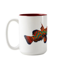 Herrliche Mandarinische Tasse, Synchiropus splendi