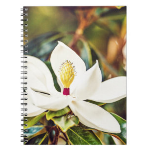 Herrliche Mississippi-Magnolie Notizblock