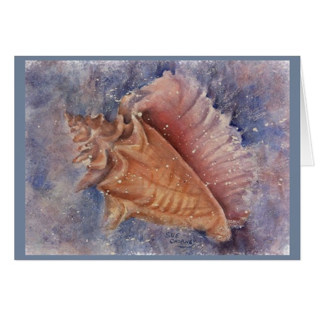 HERRLICHE OZEAN-TRITONSHORN-MUSCHEL (Vorderseite (Horizontal))
