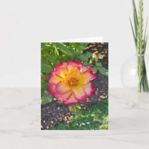 Herrliche rosa Sommerblüte Feiertagskarte
