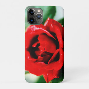 Herrliche rote Rose mit Morgentauben Case-Mate iPhone Hülle