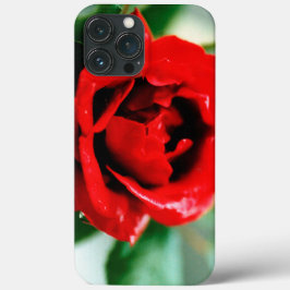 Herrliche rote Rose mit Morgentauben Case-Mate iPhone Hülle