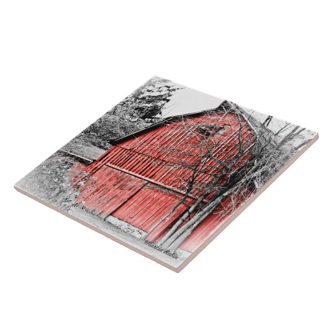Herrliche rote Scheune Fliese (Seite)