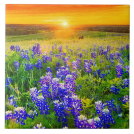 herrliche Texasbluebonnets Fliese