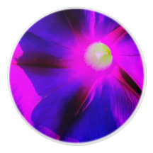 Herrliche Trichterwinde-Blume