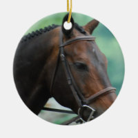 Herrliche Warmblood Pferdeverzierung