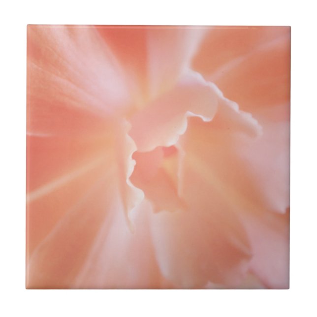 Herrliche weiche Lachse farbige Begonie Fliese (Vorderseite)