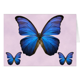 Herrlicher blauer Morpho Schmetterling