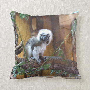 Herrlicher Colobus Kissen