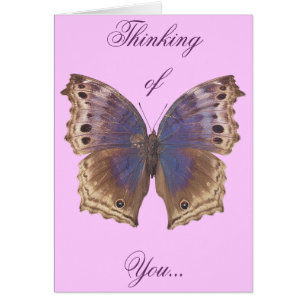 Herrlicher lila Schmetterling