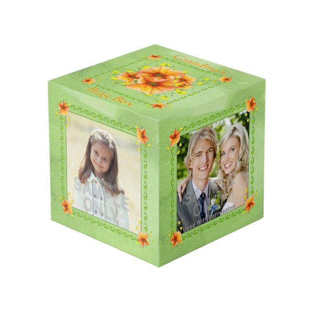 Herrlicher orange Petunie-Großmutterbrag-Kasten Würfel (Vorderseite Schrägansicht)