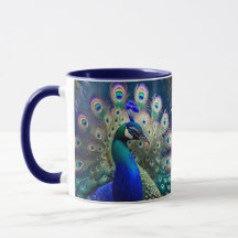 Herrlicher Pfau mit aquamarinem und goldenem Abstu