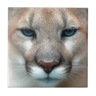 HERRLICHER PUMA FLIESE