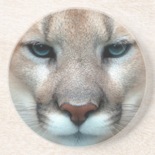 HERRLICHER PUMA GETRÄNKEUNTERSETZER