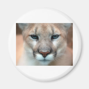 HERRLICHER PUMA MAGNET