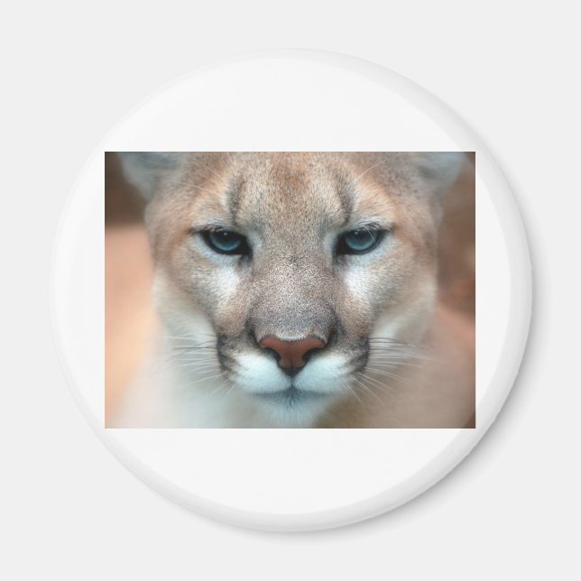 HERRLICHER PUMA MAGNET (Vorne)