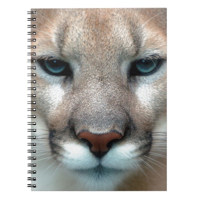 HERRLICHER PUMA NOTIZBLOCK (Vorderseite)