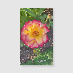 Herrlicher Rosa Sommerblüten Magnetkarte