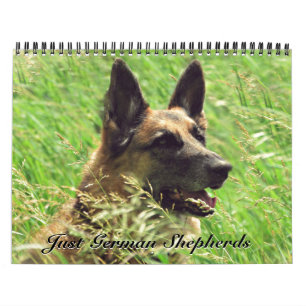 Herrlicher Schäferhund-Kalender Kalender
