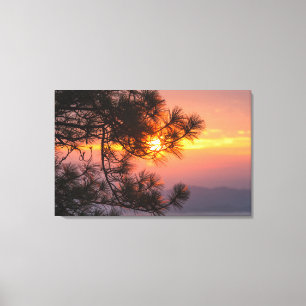 Herrlicher Sonnenuntergang durch Kiefernzweige Leinwanddruck