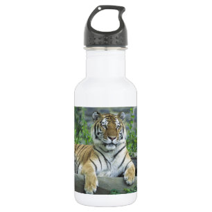 HERRLICHER TIGER TRINKFLASCHE