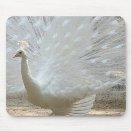 herrlicher weißer Pfau Mousepad