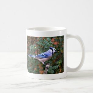 Herrliches blaues Jay Kaffeetasse