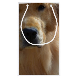 Herrliches golden retriever kleine geschenktüte