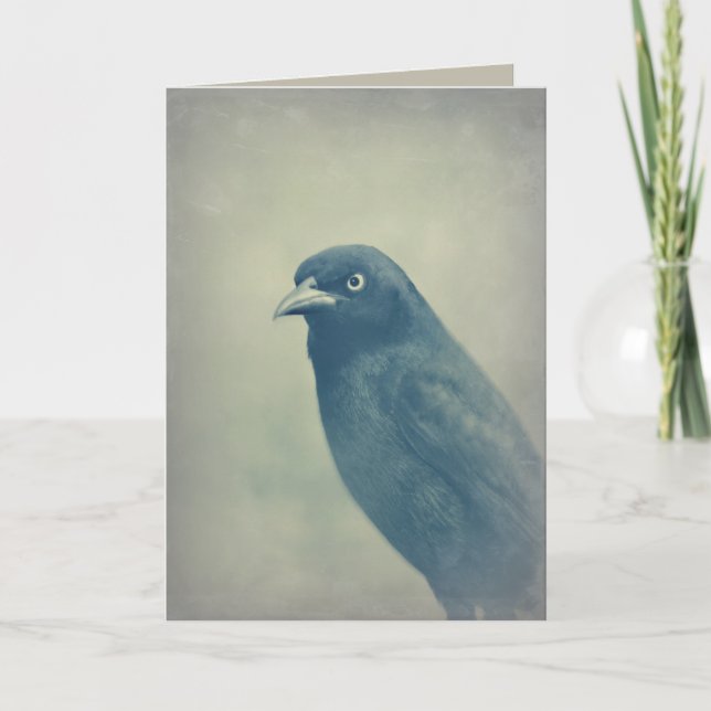 Herrliches Raben-Foto Karte (Vorderseite)