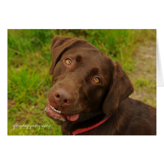 Hershey (Vorderseite (Horizontal))