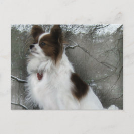 Hershey Kiss Hero Kennel Postcard Postkarte