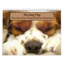 Hershey Pup Cute Cavalier King Charles Calendrier