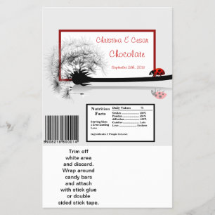 Hershey's Large Bar Wrapper Lady Bug on Dandelion Flyer