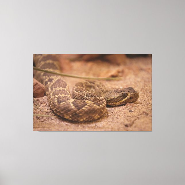 herumrennen leinwanddruck (Vorderseite)