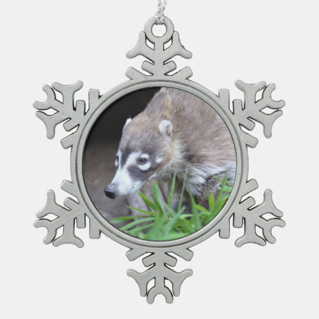 Herumstreichender Coati Schneeflocken Zinn-Ornament (Vorderseite)