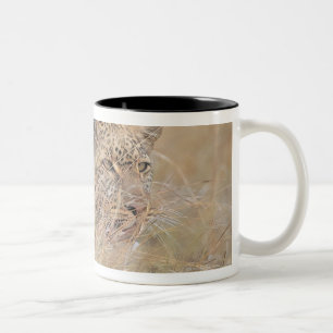 Herumstreichender Leopard, der in der Wiese sich Zweifarbige Tasse