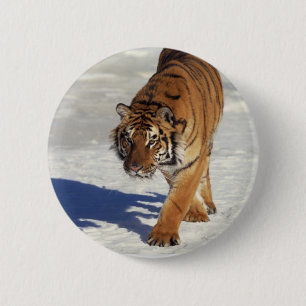 Herumstreichender Tiger Button