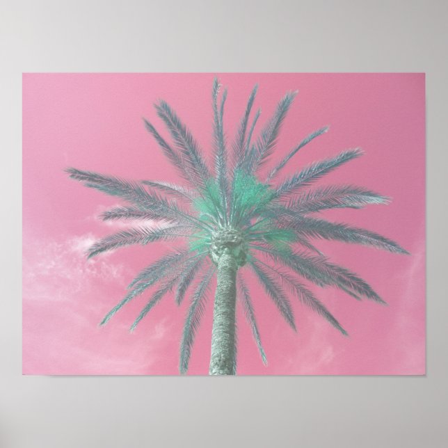 Herunterladen des Pops Pink Palm Tree Foto Poster (Vorne)
