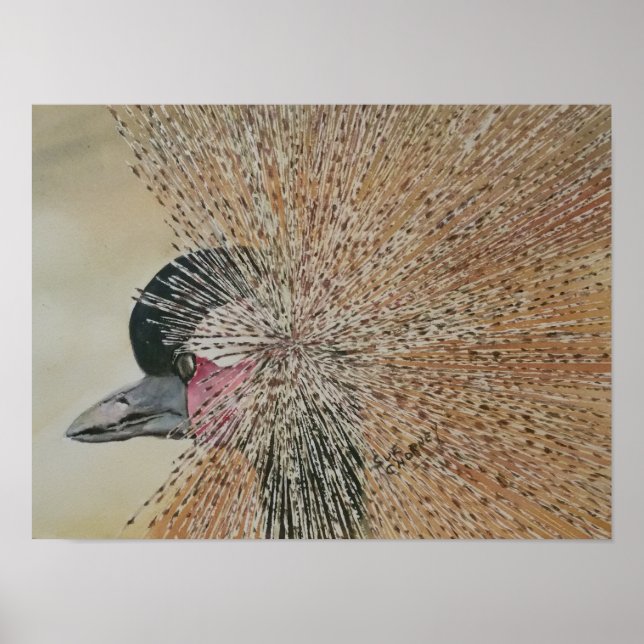 Hervorragender afrikanischer Kranvogel Poster (Vorne)