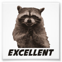 Hervorragendes böse Plotter-Raccoon