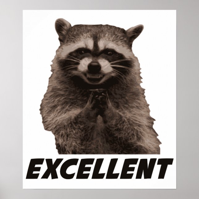 Hervorragendes böse Plotter-Raccoon Poster (Vorne)