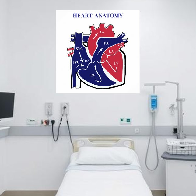 Herz Anatomie- Poster (Heart Anatomy- Poster )