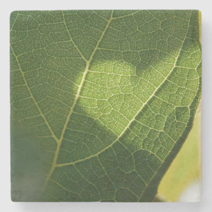 Herz auf einem sonnenbeschienenen Blatt-Unterleger Steinuntersetzer