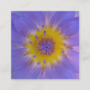 Herz einer Makrofotografie der Wasserlilie Quadratische Visitenkarte