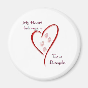 Herz gehört zum Beagle; Liebe Beagles; Beagle Lieb Magnet
