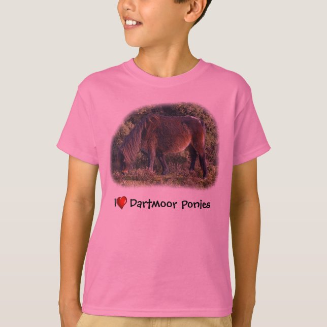 Herz I Dartmoor Pony-T - Shirt (Vorderseite)